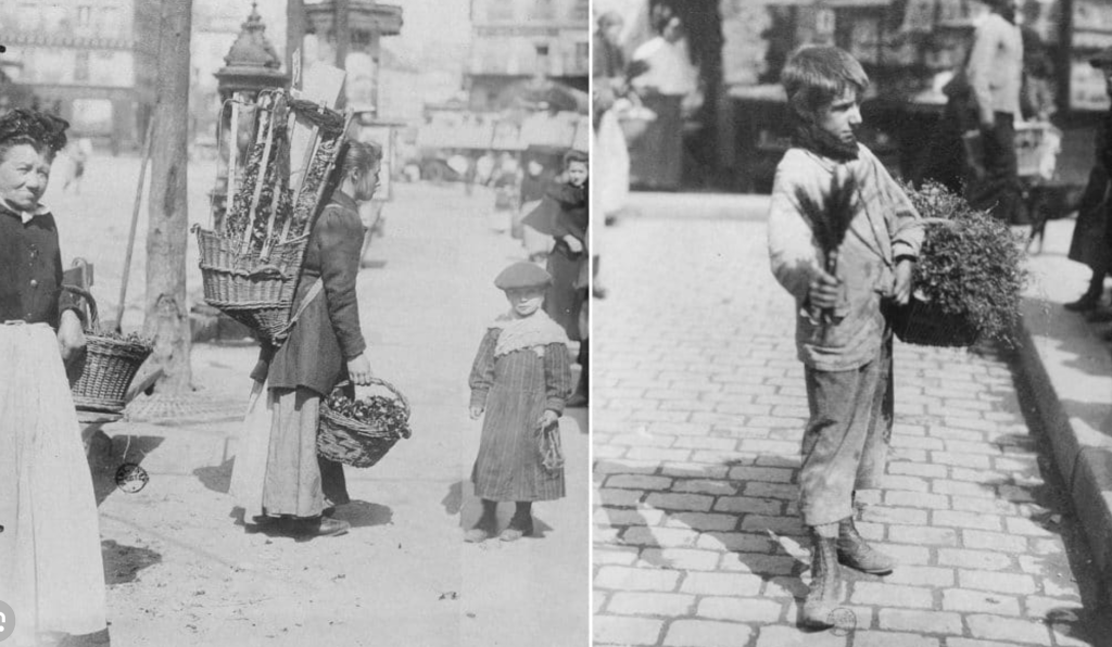 Deux photos en noir et blanc de vendeurs d'herbe à Paris. Sur la photo de droite, un jeune garçon avec un panier rempli d'herbes à son bras gauche. Sur la photo de gauche, une jeune femme avec un grand panier d'osier dans le dos.